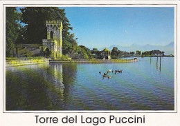 AK 213940 ITALY - Torre Del Lago Puccini - Autres & Non Classés