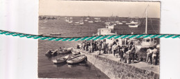 Les Iles Chausey, Le Port, Arrive Des Vedettes; Carte Photo - Autres & Non Classés