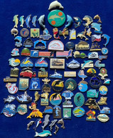 Collection De 93 Pin's Dauphins. Cétacés. - Animaux