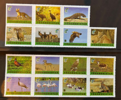 Turkmenistan 2021 Animals Fauna Mammals Birds Reptilies From Red Book Set Of 15 Stamps MNH - Other & Unclassified