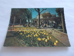 AIX LES BAINS  ( 73 Savoie )  LA PLACE DES THERMES  ANIMEES  JARDIN  AVEC DES FLEURS - Aix Les Bains