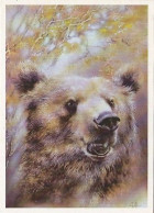 AK 213952 BEAR / BÄR - Bears