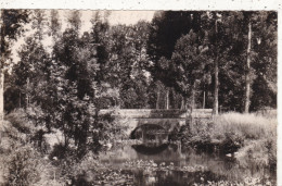 49 . LINIERES-BOUTON . CPA. PONT SUR LE LATHAN. ANNEE 1961 + TEXTE - Otros & Sin Clasificación