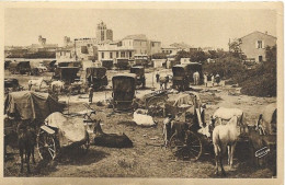 [13] Bouches-du-Rhône Saintes Maries De La Mer Campement De Bohemiens - Saintes Maries De La Mer