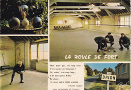49.  BRION  CPA. . MULTIVUES. SPORT REGIONAL : " LA BOULE DE FORT " LES BOULES. LA PISTE. LE JEU. - Other & Unclassified