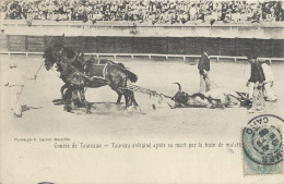 [13] Bouches-du-Rhône Marseille Course De Taureaux  Taureau Entrainé Apres Sa Mort - Non Classés