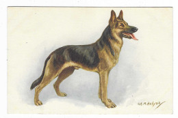 CPA ILLUSTRATION CHIEN BERGER ALLEMAND, ALSATIAN WOLFHOUND, ILLUSTRATEUR O.E.M. HOLLYER - Perros