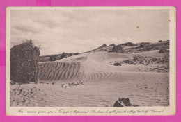 311471 / Bulgaria - The Sand Dunes Near The Village Of GEBEDGHE ( Beloslav ) / Varna Region/ PC Bulgarie Bulgarien - Bulgaria