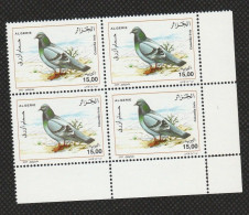 Bloc De 4 : N°1392 Neufs**MNH - Année 2005 - LES PIGEONS : Colomba Livia  (db) - Argelia (1962-...)