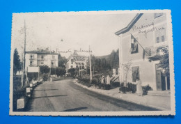 RONZONE (VAL DI NON) - ALBERGO REGINA DEL BOSCO. - Belluno