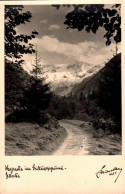 H2693 - Mayrhofen Stilluppgrund Zillertal - Hans Hruschka Foto Künstlerkarte - Zillertal