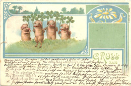 Glückwunsch Schweine - Sonstige & Ohne Zuordnung