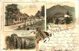 Gruss Aus Bad Harzburg - Litho - Bad Harzburg