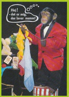 AK 213988 APE / MONKEY / AFFE - Singes