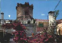 72398329 Ischia Forio D'Ischia La Torre Ischia - Autres & Non Classés