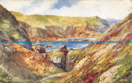 R150197 View Over Devils Hole. Jersey. Valentine. Art Colour. 1949 - World