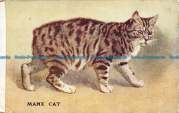 R150200 Manx Cat. Salmon. 1949 - World