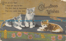 R150210 Greetings. Christmas Wishes. Kittens. Valentine - World