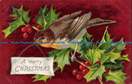 R150211 Greetings. A Merry Christmas. Bird - World