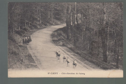 CP - 76 - Cany - Côte Direction St-Valéry - Course Cycliste - Cany Barville