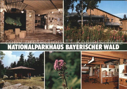 72397982 Grafenau Niederbayern Nationalparkhaus Grafenau - Otros & Sin Clasificación
