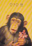 AK 214004 APE / MONKEY / AFFE - Singes