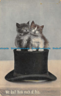 R150286 We Do Not Think Much Of This. Kittens On The Hat. Misch And Co. Aristoph - World