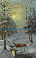 R150289 Brightest Christmas Wishes. Winter Scene In The Woods - World