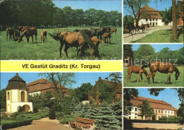 72023206 Graditz VE Gestuet Pferde Graditz - Torgau
