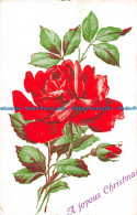 R150333 Greetings. A Joyous Christmas. Red Rose - World