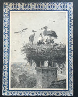 Protege Cahier XIXe - N°21 - CIGOGNE (gravure) - Omslagen Van Boeken