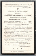 Bidprentje Olmen - Leysen Aldegonda Antonia (1849-1909) - Imágenes Religiosas