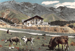 06-AURON-HOTEL DU PILON-N°403-A/0213 - Autres & Non Classés