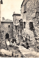 06-EZE VILLAGE-N°402-D/0059 - Eze