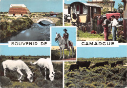 13-PANORAMA DE LA CAMARGUE-N°403-D/0413 - Sonstige & Ohne Zuordnung