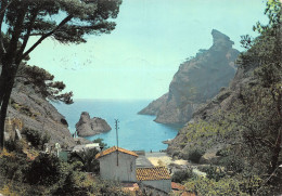 13-CALANQUE DE FIGUEROLLES-N°403-D/0327 - Altri & Non Classificati