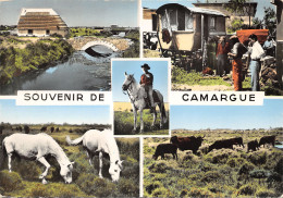 13-PANORAMA DE LA CAMARGUE-N°403-D/0319 - Sonstige & Ohne Zuordnung