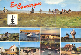 13-PANORAMA DE LA CAMARGUE-N°403-D/0215 - Sonstige & Ohne Zuordnung