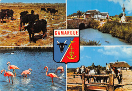 13-PANORAMA DE LA CAMARGUE-N°403-D/0203 - Sonstige & Ohne Zuordnung