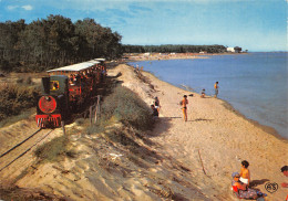 17-ILE D OLERON-PETIT TRAIN DE SAINT TROJAN-N°404-C/0073 - Ile D'Oléron