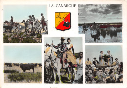 13-PANORAMA DE LA CAMARGUE-N°404-A/0169 - Sonstige & Ohne Zuordnung