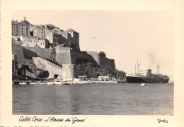 20-CALVI-N°405-B/0171 - Calvi