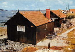 17-ILE D OLERON-CABANE OSTREICOLE-N°404-D/0201 - Ile D'Oléron