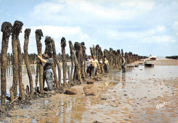 17-ILE D OLERON-LES BOUCHOLEURS -N°404-D/0187 - Ile D'Oléron