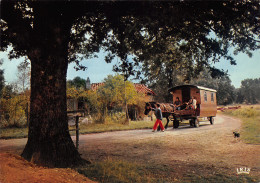 24-PERIGUEUX-ROULOTTES EN PERIGORD-N°406-A/0005 - Périgueux