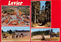 25-LEVIER-N°406-A/0183 - Other & Unclassified