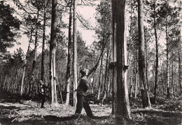 40-SCENE DES LANDES-RESINIERS-N°408-B/0413 - Sonstige & Ohne Zuordnung