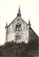 38-CESSIEU-CHAPELLE DE ND DE LA SALETTE-N°408-A/0357 - Autres & Non Classés