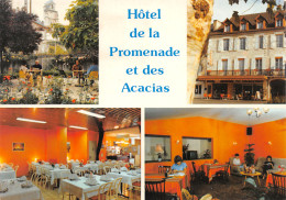 46-SOUILLAC-HOTEL DE LA PROMENADE ET DES ACACIAS-N°409-A/0363 - Souillac