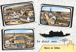 45-NEUVY EN SULLIAS-N°409-A/0255 - Other & Unclassified